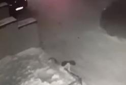 Девочка выпала из окна на четвертом этаже и осталась жива (видео)