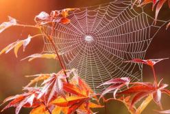 Прогноз погоды на 9 октября: приближается потепление (карта)