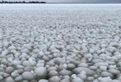 Природный феномен: в Канаде озеро покрылось ледяными шариками (видео)
