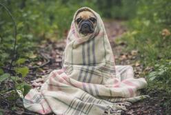 Потопи, як в Одесі, по всій Україні траплятимуться частіше: прогноз експертів