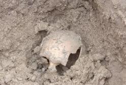 В Тернопольской области обнаружено древнее захоронение людей (фото)