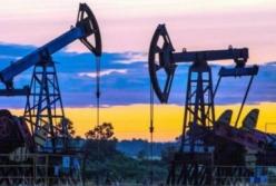 В Украине продадут на аукционе 12 месторождений 