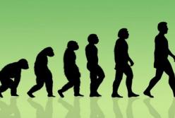 Ученые назвали неожиданную причину эволюции человечества