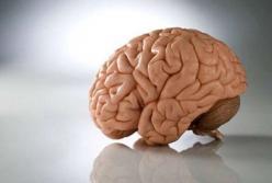 Ученые выяснили, что человеческий мозг уменьшается