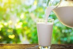 Врачи назвали продукт, спасающий от рака и диабета