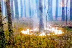 В Чернобыльской зоне попытка нового поджога — Аваков