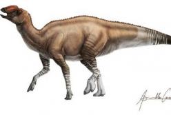 Обнаружен новый вид динозавров