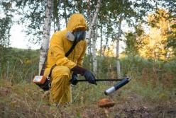 В Чернобыле нашли грибы, питающиеся радиацией