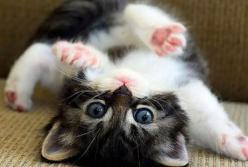 Прогноз погоды на 10 марта: в Украину придут холод и дожди