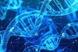 Ученые раскрыли тайну происхождения скифов