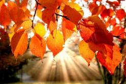 Прогноз погоды на 10 сентября: сухое бабье лето, и только в Карпатах дожди