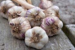 Эксперты перечислили неизвестные свойства чеснока