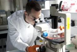 Создан лазер, который уничтожает до 96% раковых клеток в крови