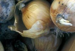 Медики назвали популярный овощ, который может быть смертельно опасным 