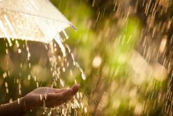 Прогноз погоды на 20 августа: часть Украины накроют грозовые дожди 