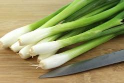 Эксперт посоветовал употреблять зеленый лук