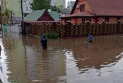 Оторванный асфальт и затопленный роддом: Ровно превратился в озеро из-за сильного ливня (фото, видео)