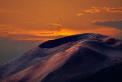 В Австралии геологи обнаружили интересную находку