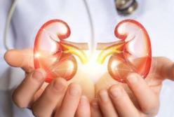 Медики подсказали, как сохранить здоровье почек