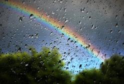 Прогноз погоды на 1 августа: в Украину пришла прохлада