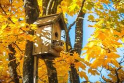 В начале октября в Украине ожидаются солнечная погода и ночные заморозки