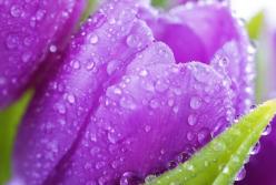 Прогноз погоды на 24 июля: температура упадет, пройдут ливни