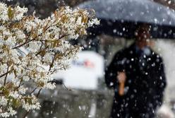 Прогноз погоды на 30 ноября: в Украине резко похолодает и пойдет снег (карта) 