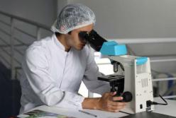 Ученые открыли механизм перехода вирусов животных на людей 