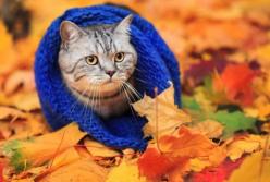 В Україні розпочинається опалювальний сезон: названо чітку дату