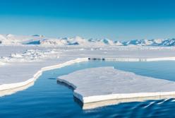 Ученые заявили, что в Арктике до 2035 года растает весь лед 