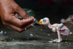 Лучшая фотография июля от National Geographic