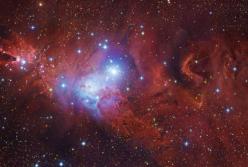 Мех космического лиса