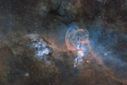 Галактика Андромеды и Звездный цветок: победители главного конкурса астрофотографии (фото)