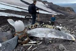 Разбившийся о ледник самолет оттаял через 76 лет (фото)