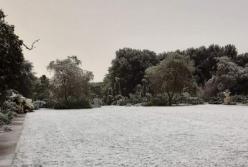 На юге Австралии впервые за 50 лет выпал снег (фото)