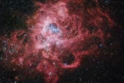 Прекрасная галактика в Треугольнике (фото)