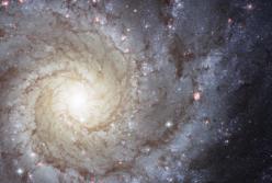 Астрономическая картинка дня: M74 идеальная спираль