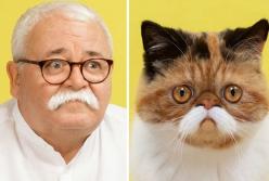 Одно лицо: фотограф показал поразительное сходство котов и их хозяев (фото)
