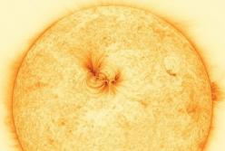 На самом точном фото Солнца нашли загадочные нити (видео)