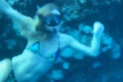 Леся Никитюк в мини-бикини показала подводный мир (видео)