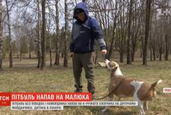 Питбуль без поводка и намордника искусал ребенка на детской площадке (видео)