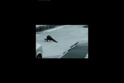 Китаец засмотрелся в телефон и случайно сел на шпагат (видео)