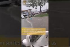 Последствия тайфуна могут принести радость (видео)