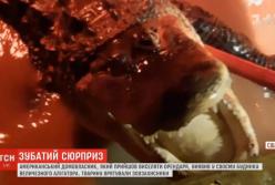 Американец пришел выселять арендатора и нашел неожиданный сюрприз (видео)