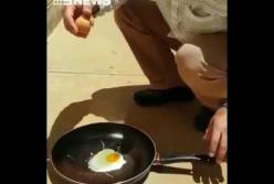 Жара в Австралии: как приготовить яичницу под солнцем на улице (видео)