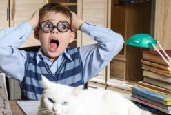 Почему троечники успешнее отличников? (видео)