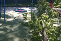 В Харькове часть дерева упала на ребенка (видео)