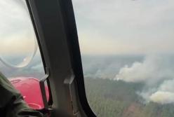 Пожары в Луганской области показали с воздуха (видео)