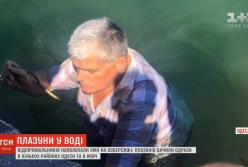 В Одессе на побережьях кишат змеи (видео)