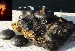 Ученые обнаружили артефакт, которому 300 миллионов лет (видео)